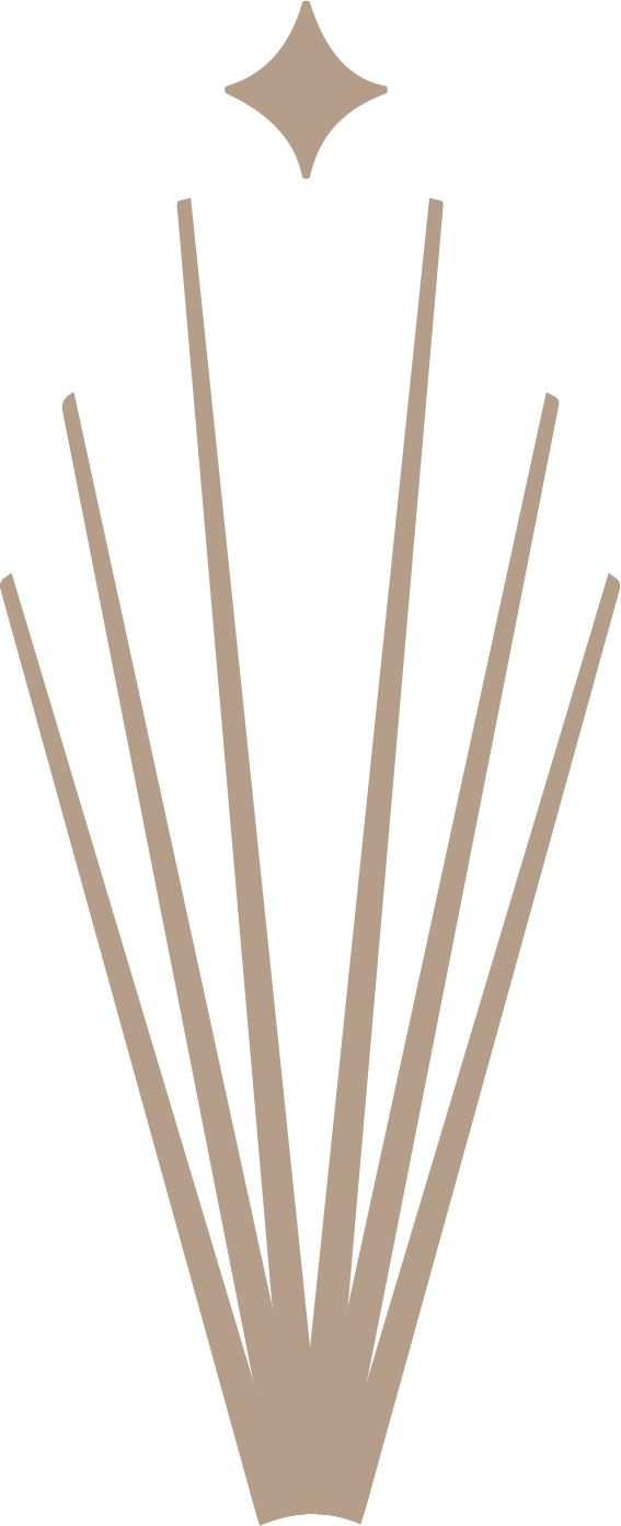 A Luxe et Ligne márka logója, amely a prémium márkatervezést és az elegáns vizuális megjelenést képviseli.